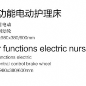 A1四功能電動護(hù)理床